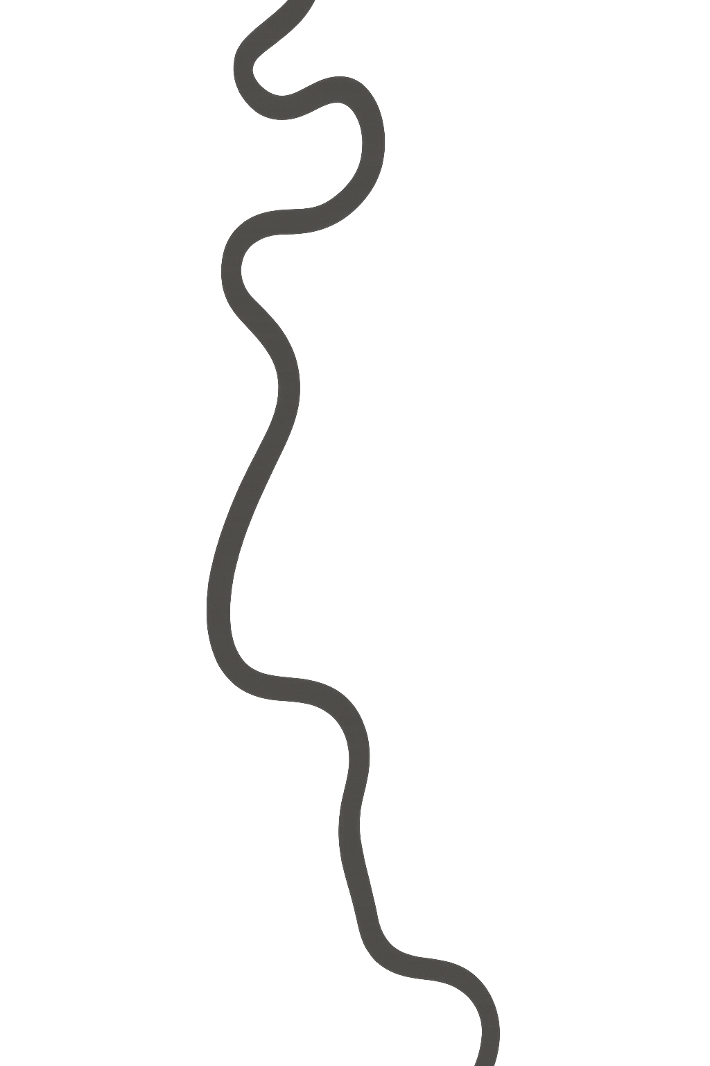 the river